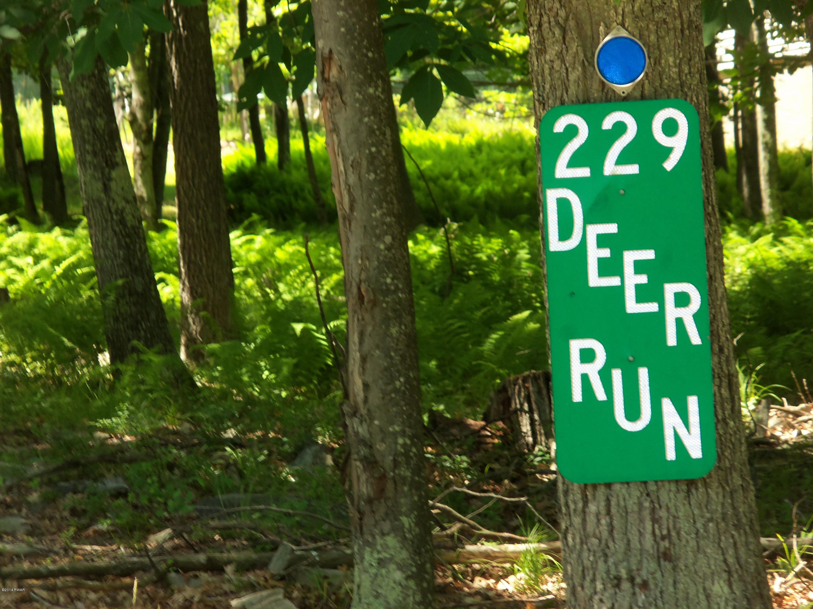 229 Deer Run Road Hawley, PA 18428 - Photo 42 of 54 Gallery Image 42