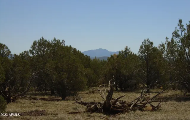 $357,000 | 1993 Cumberland Road, Ash Fork, AZ 86320