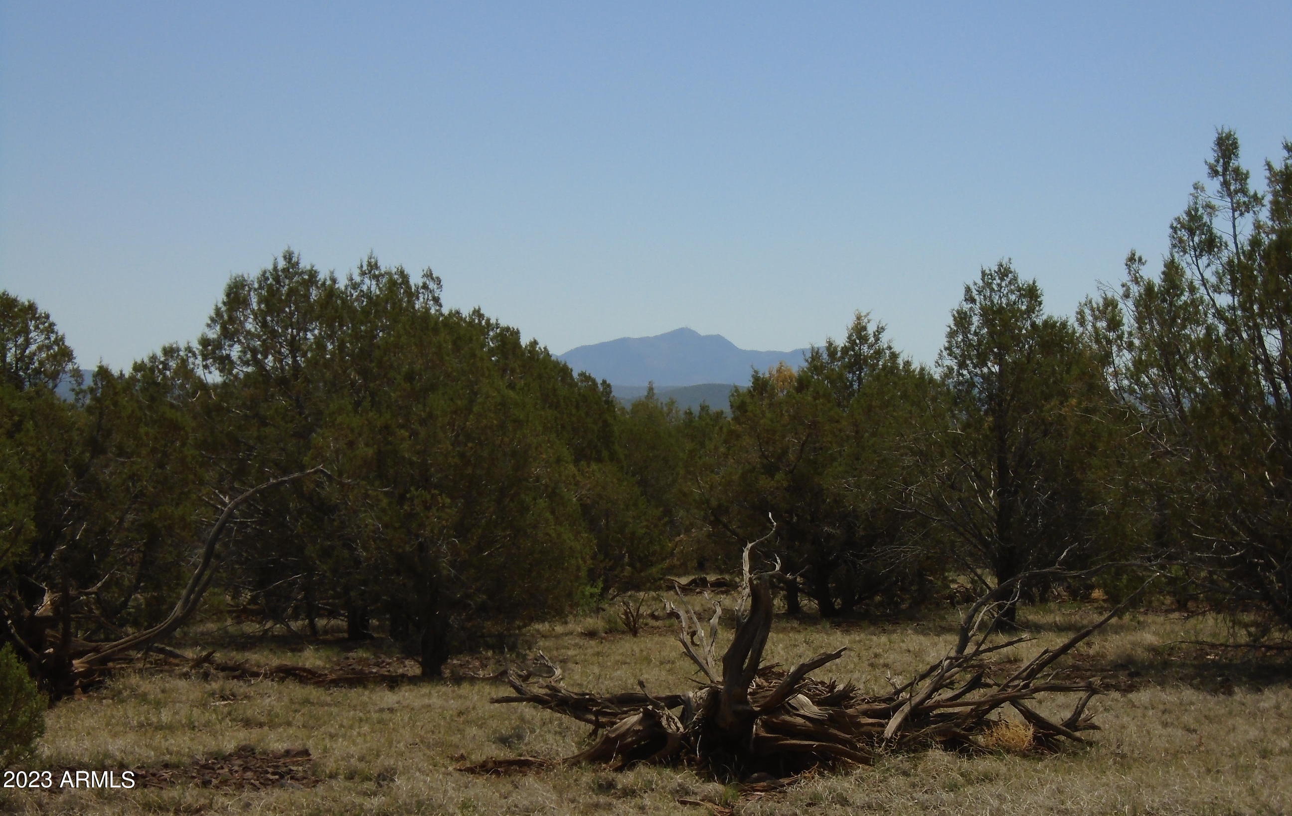 1993 Cumberland Road Ash Fork, AZ 86320 - Photo 28 of 47 1993 15