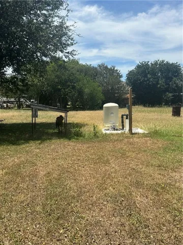 a view of a field with a tree