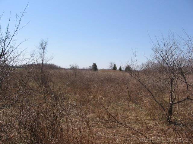 6680 Holverson Road Carsonville, MI 48419 - Photo 44 of 52 31238470-43.JPG