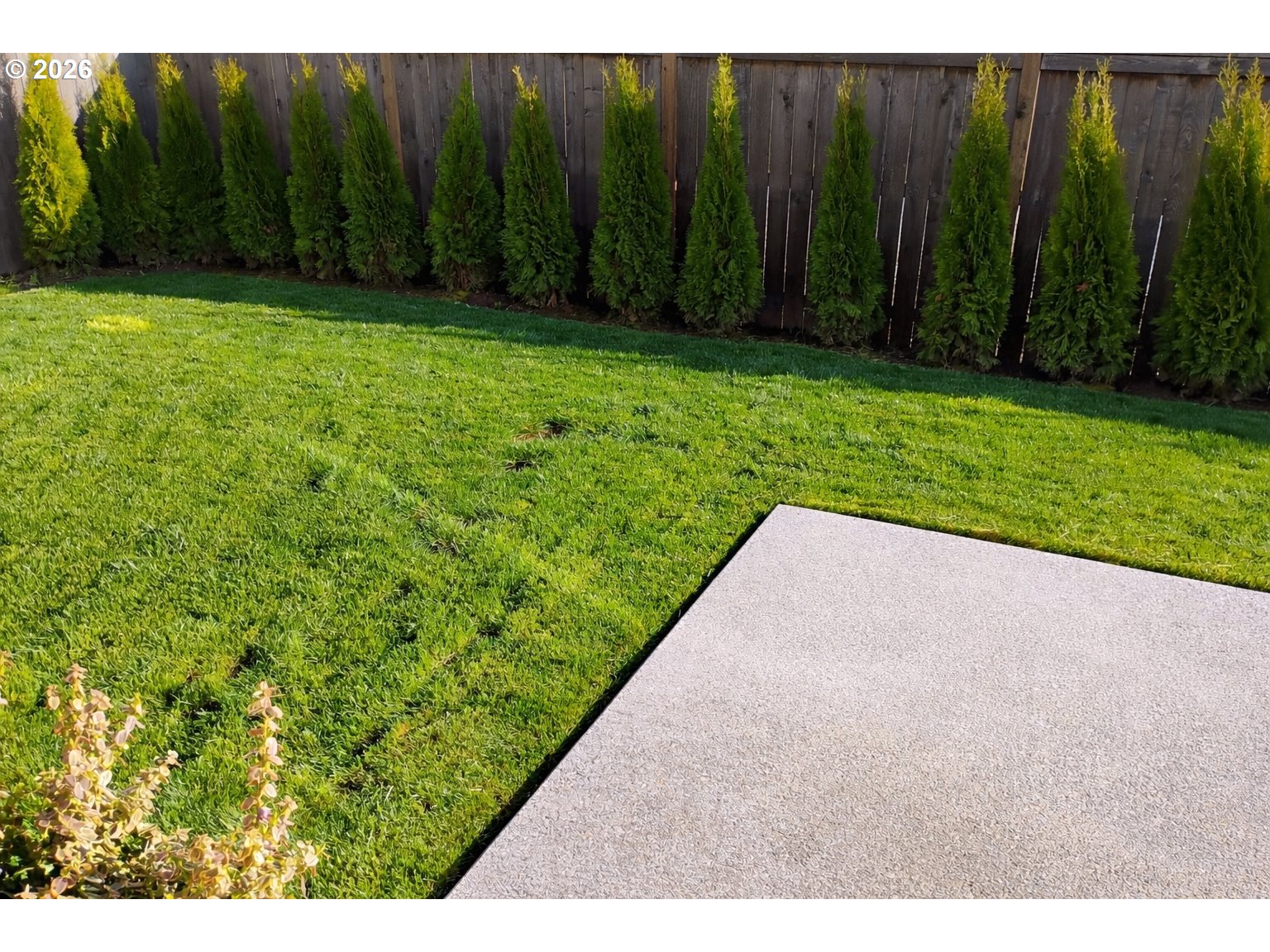 8707 North 1st Street Ridgefield, WA 98642 - Photo 34 of 40 a view of a backyard