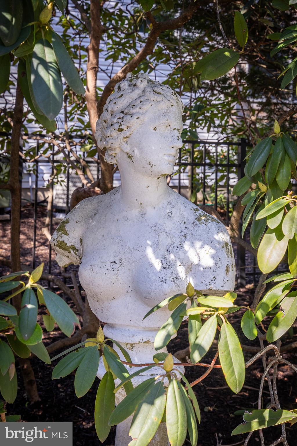 269 East 3rd Street Moorestown, NJ 08057 - Photo 42 of 52 a picture of flowers