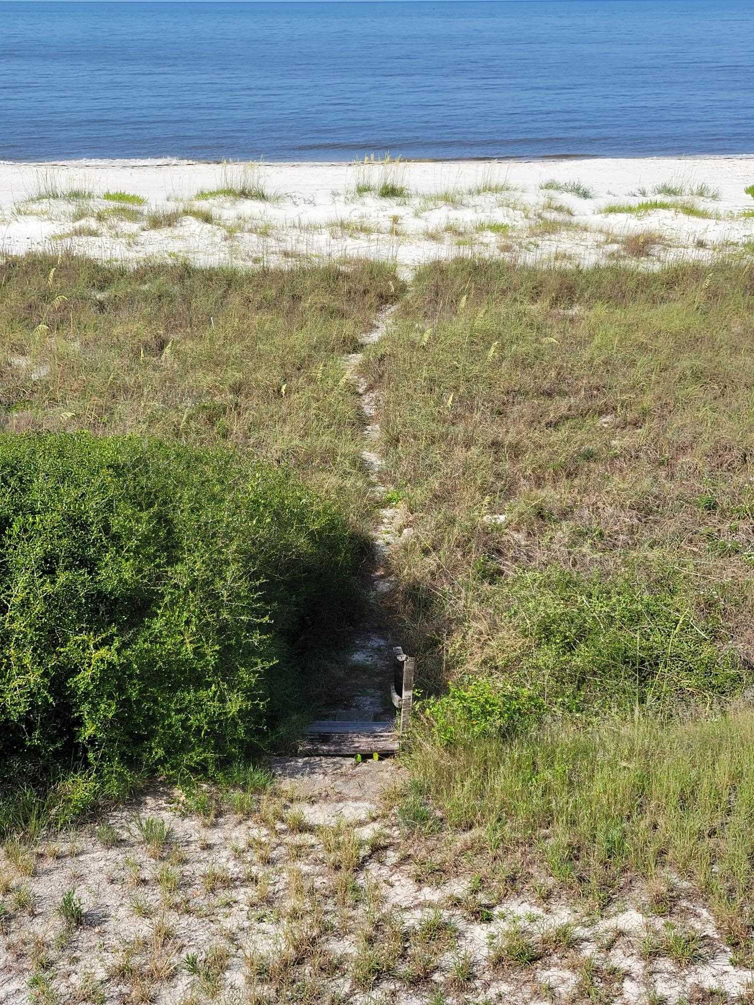 1433 Alligator Drive Alligator Point, FL 32346 - Photo 2 of 13