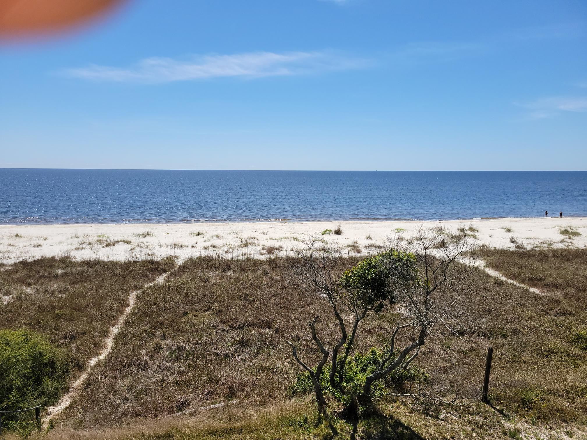 1433 Alligator Drive Alligator Point, FL 32346 - Photo 6 of 13