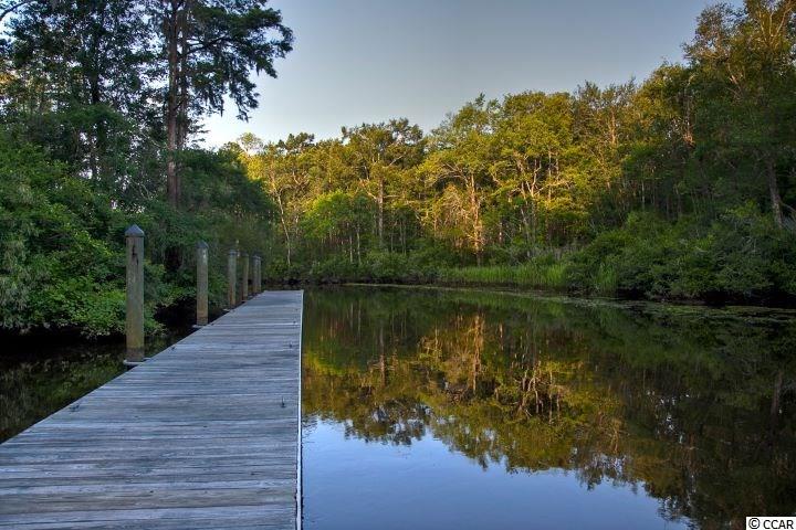 4 Caleb Court Murrells Inlet, SC 29576 - Photo 39 of 40 Gallery Image 39