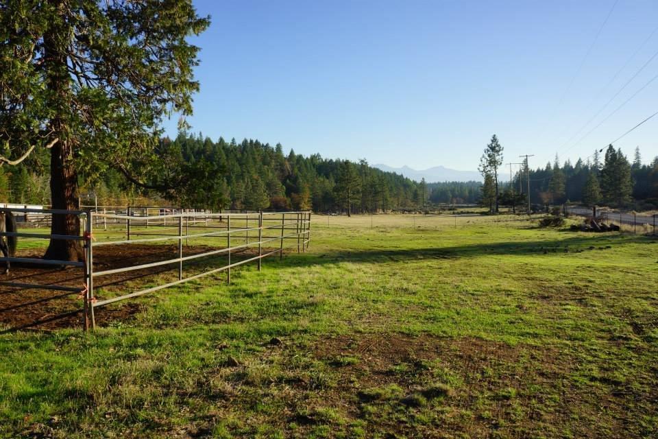 5389 West Side Road Cave Junction, OR 97523 - Photo 6 of 11 Additional Photo