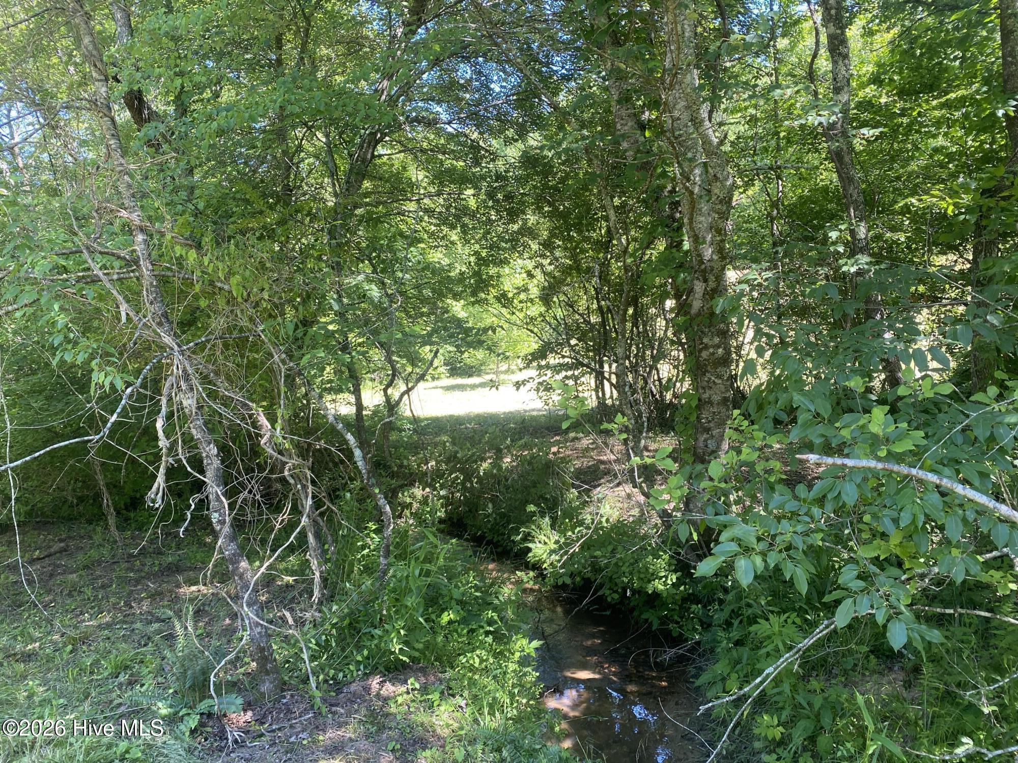Lot 7 Running Bear Road Murphy, NC 28906 - Photo 2 of 14