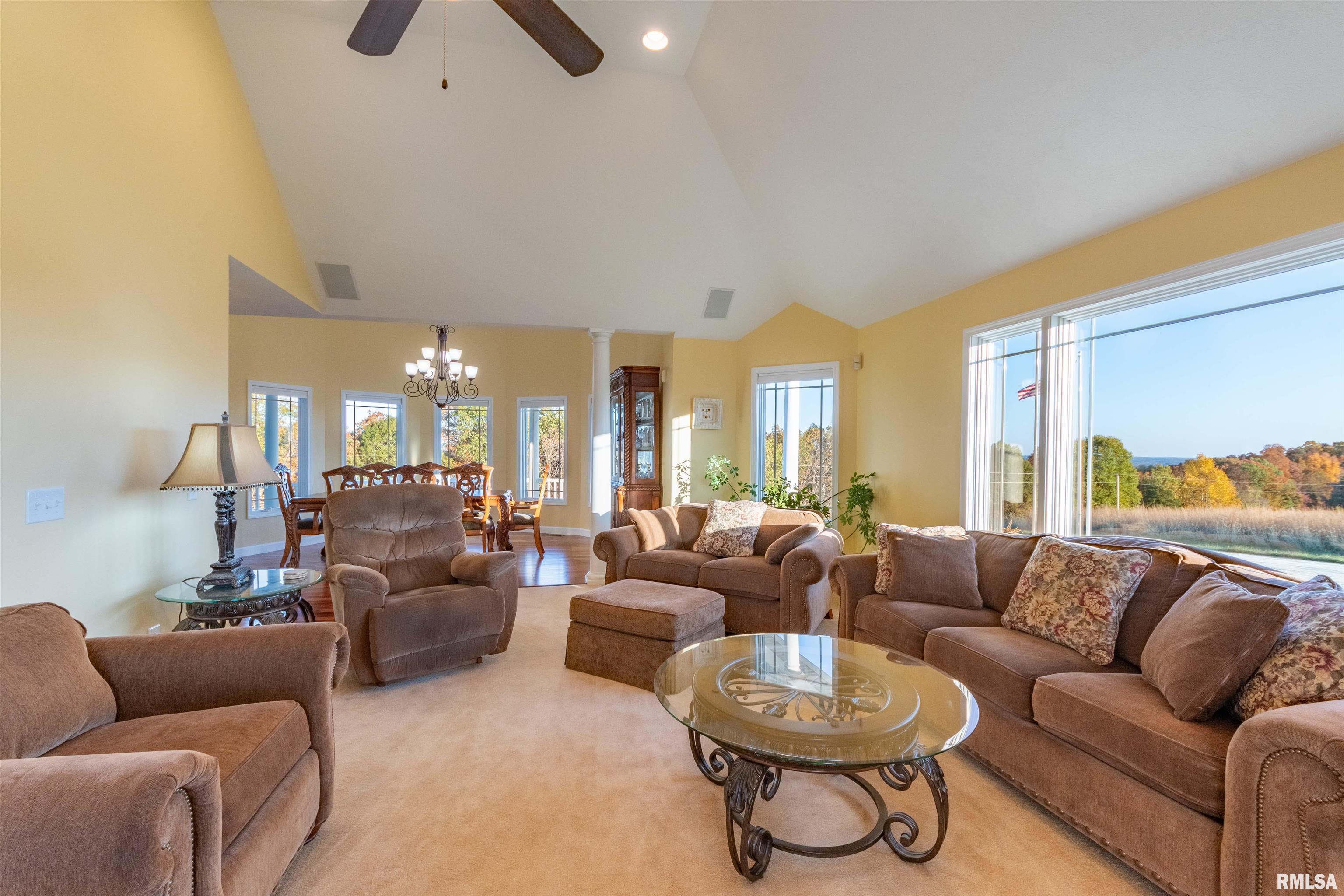 295 Williams Ridge Lane Cobden, IL 62920 - Photo 23 of 60 Gallery Image 23