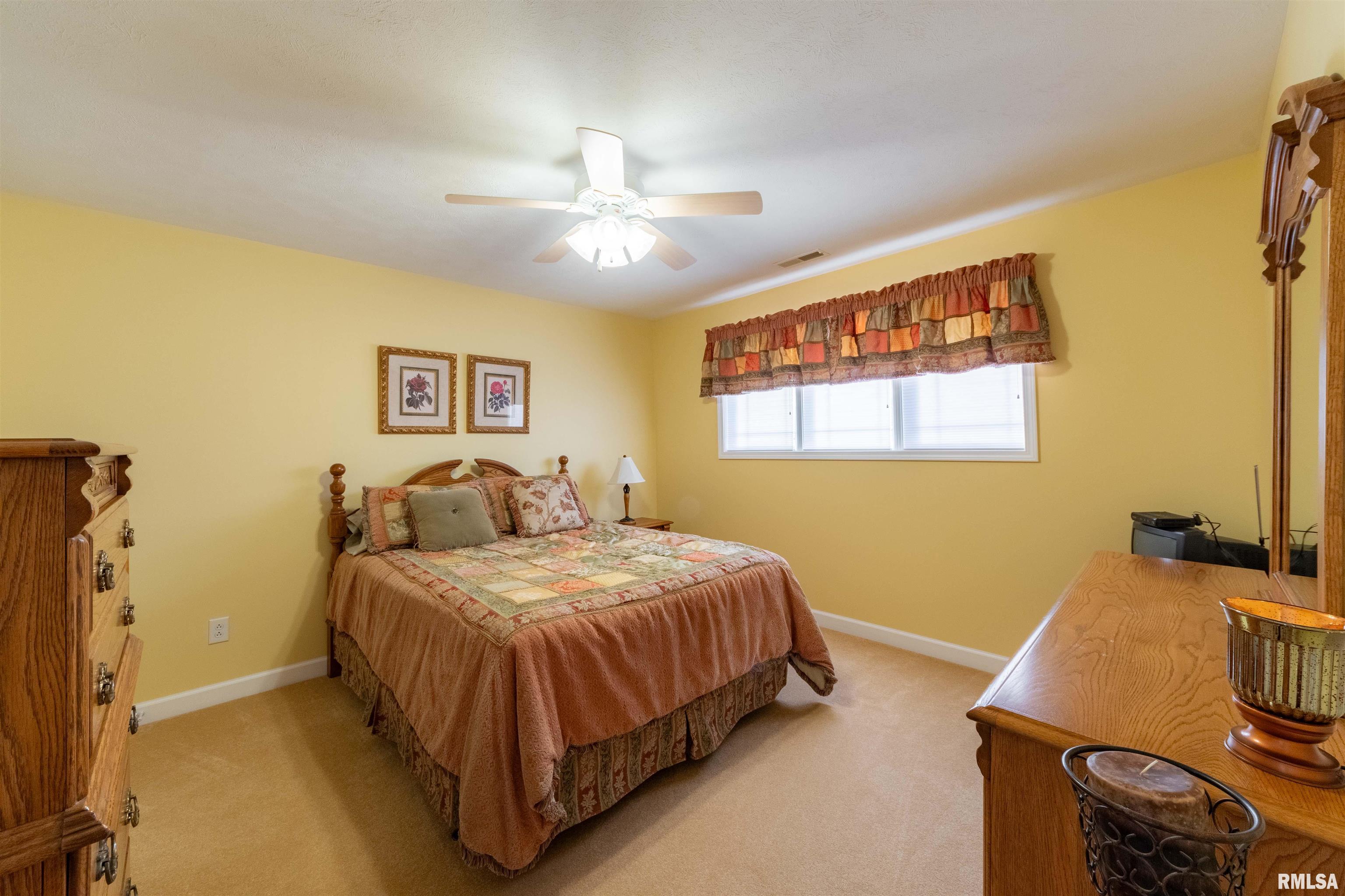 295 Williams Ridge Lane Cobden, IL 62920 - Photo 42 of 60 Gallery Image 42