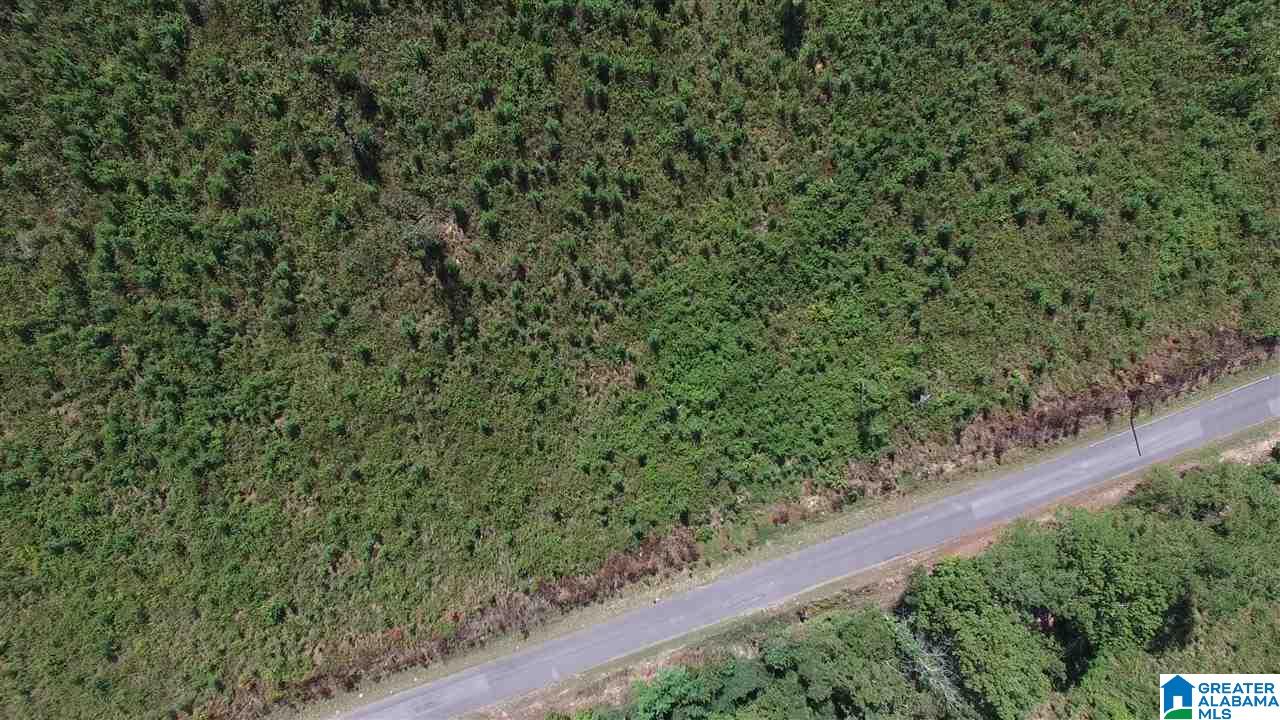 0 Jackson Trail, Unit 140 ACRES Altoona, AL 35952 - Photo 4 of 50