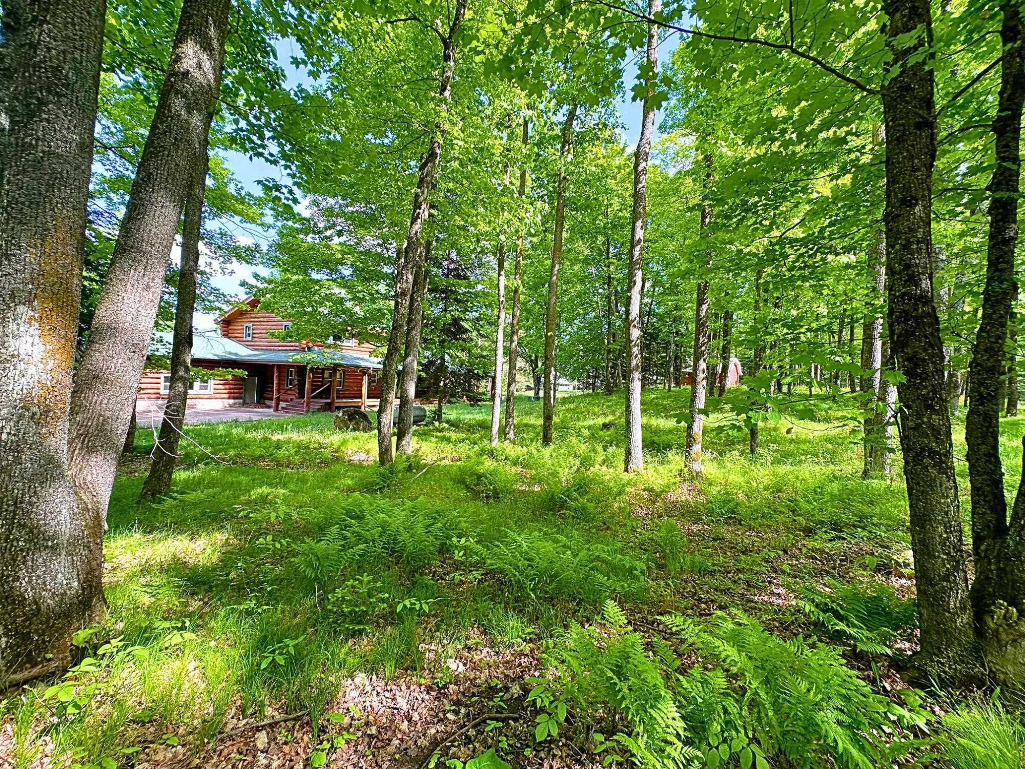 N13038 Hicks Landing Road Fifield, WI 54524 - Photo 47 of 60