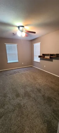 a view of a yard with plants