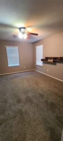 a view of a yard with plants