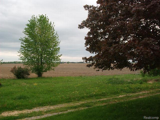 425 Marton Road Marlette, MI 48453 - Photo 11 of 13 Northview