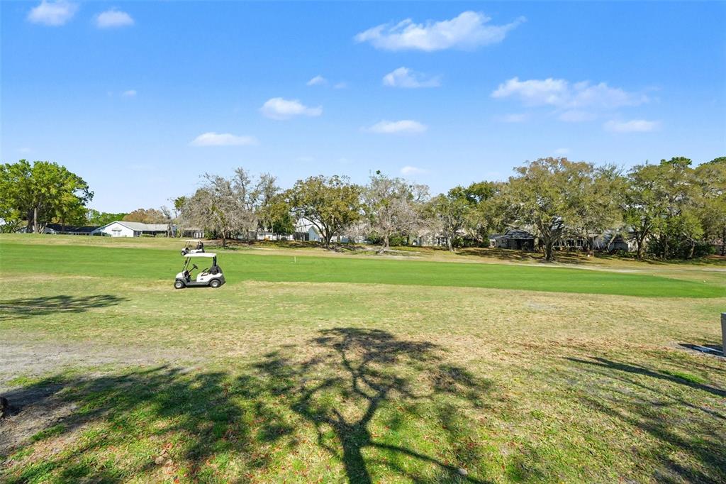 13006 Wedgewood Way, Unit D Hudson, FL 34667 - Photo 17 of 23