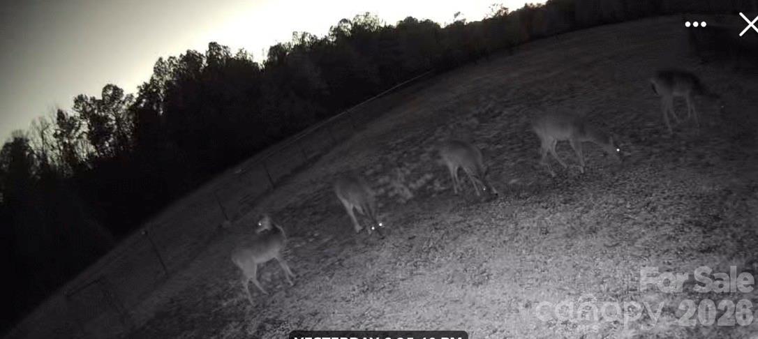 1876 Columbia Road Chester, SC 29706 - Photo 11 of 12