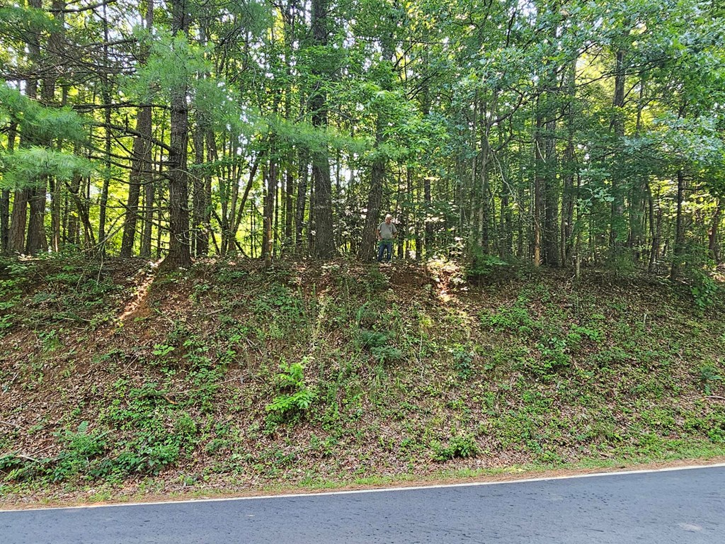 31-acres Upper Bear Paw Road Murphy, NC 28906 - Photo 17 of 26