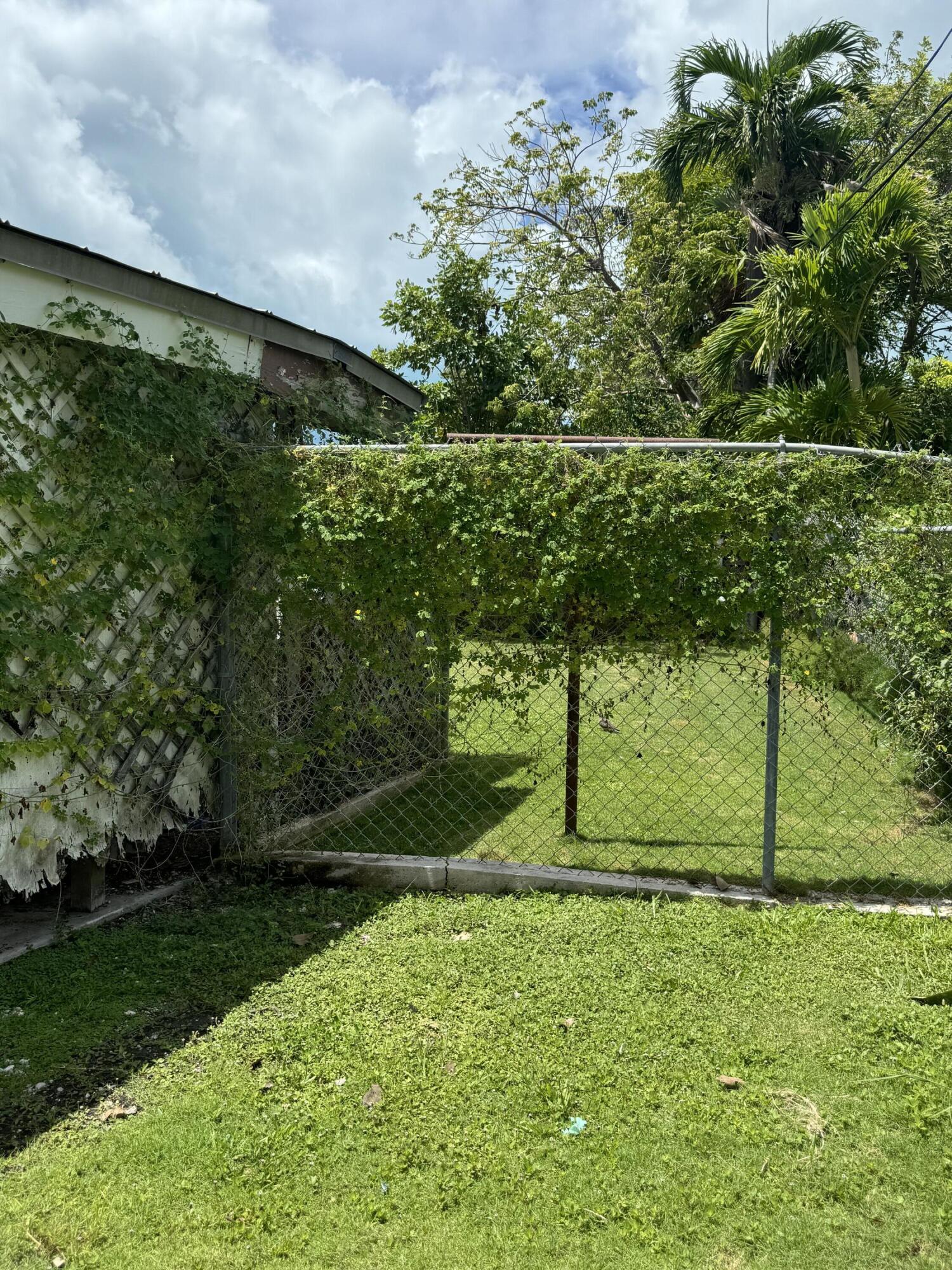 1521 Rose Street Key West, FL 33040 - Photo 1 of 13 a backyard of a house with lots of green space