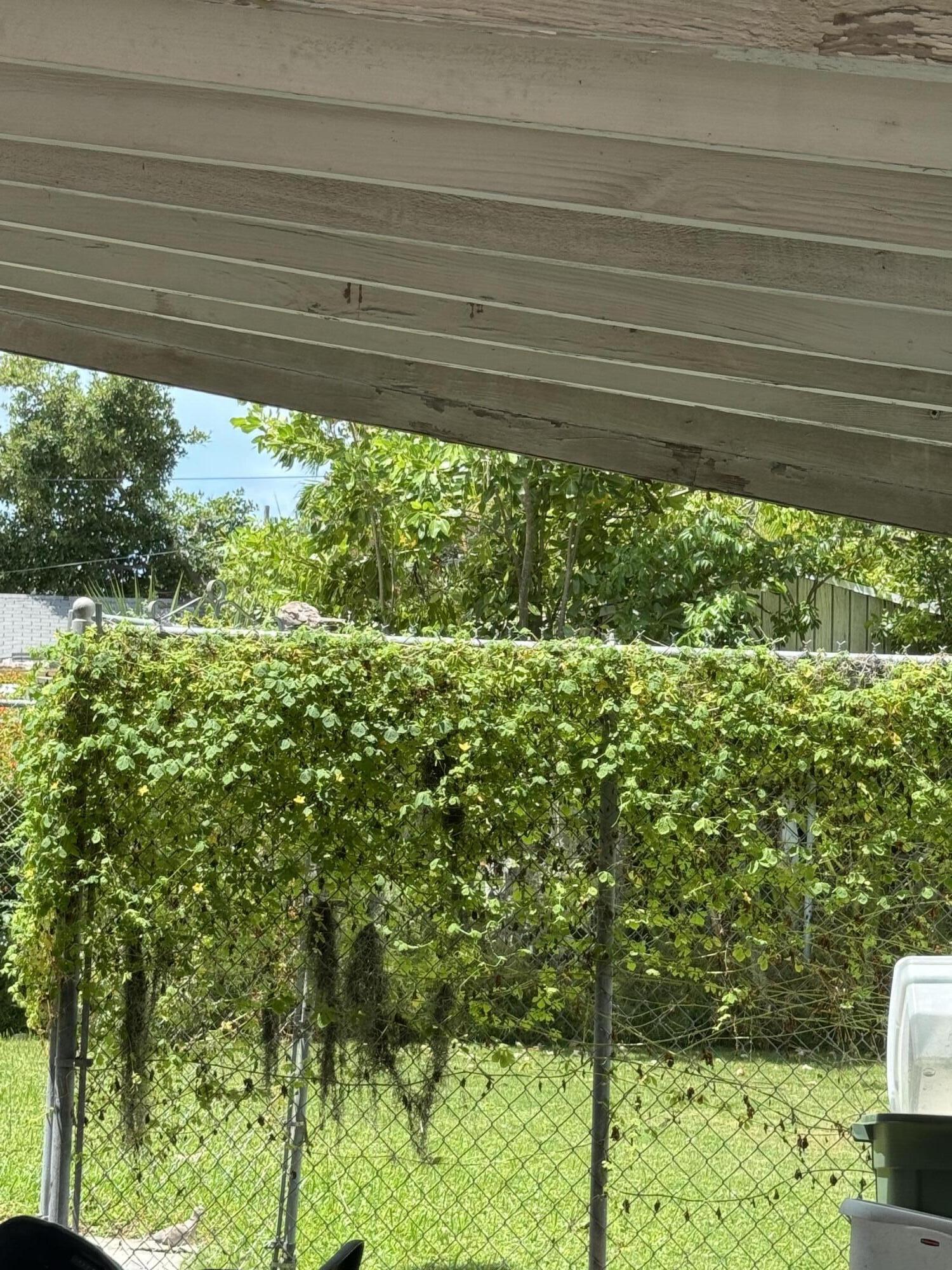 1521 Rose Street Key West, FL 33040 - Photo 3 of 13 a view of a backyard of the house