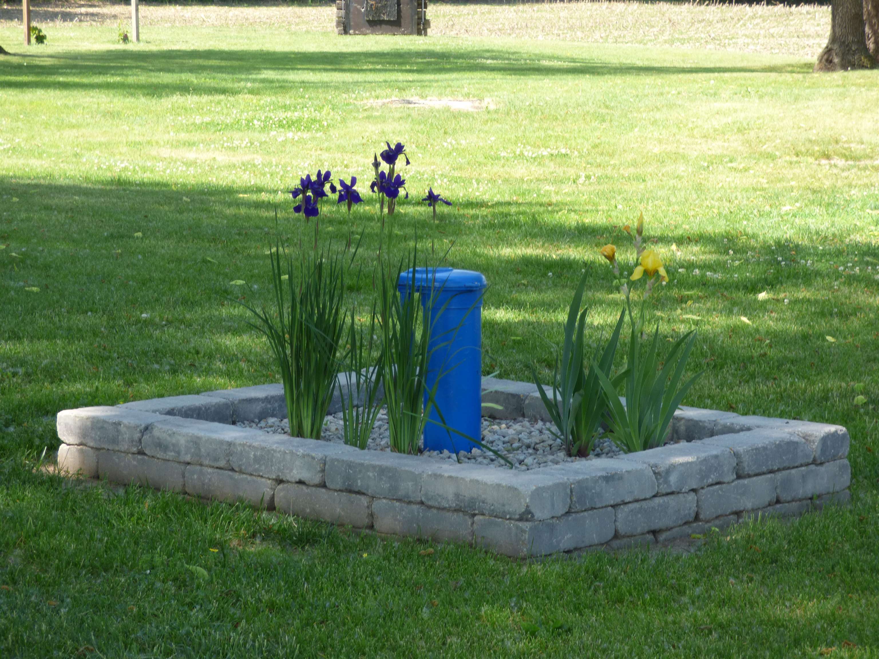 6384 A Diehl Road Savanna, IL 61074 - Photo 24 of 32 a view of a garden with an outdoor space