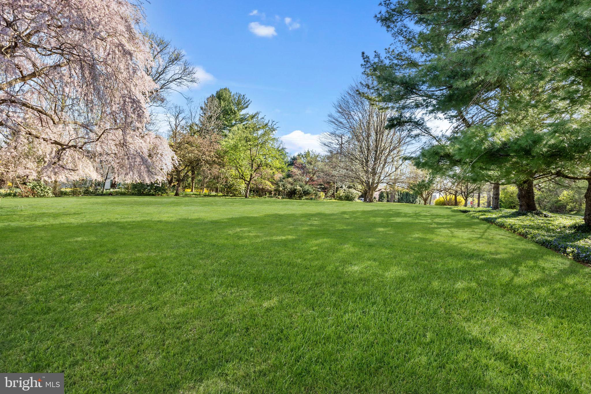 6642 Upper York Road New Hope, PA 18938 - Photo 31 of 38 Side Yard