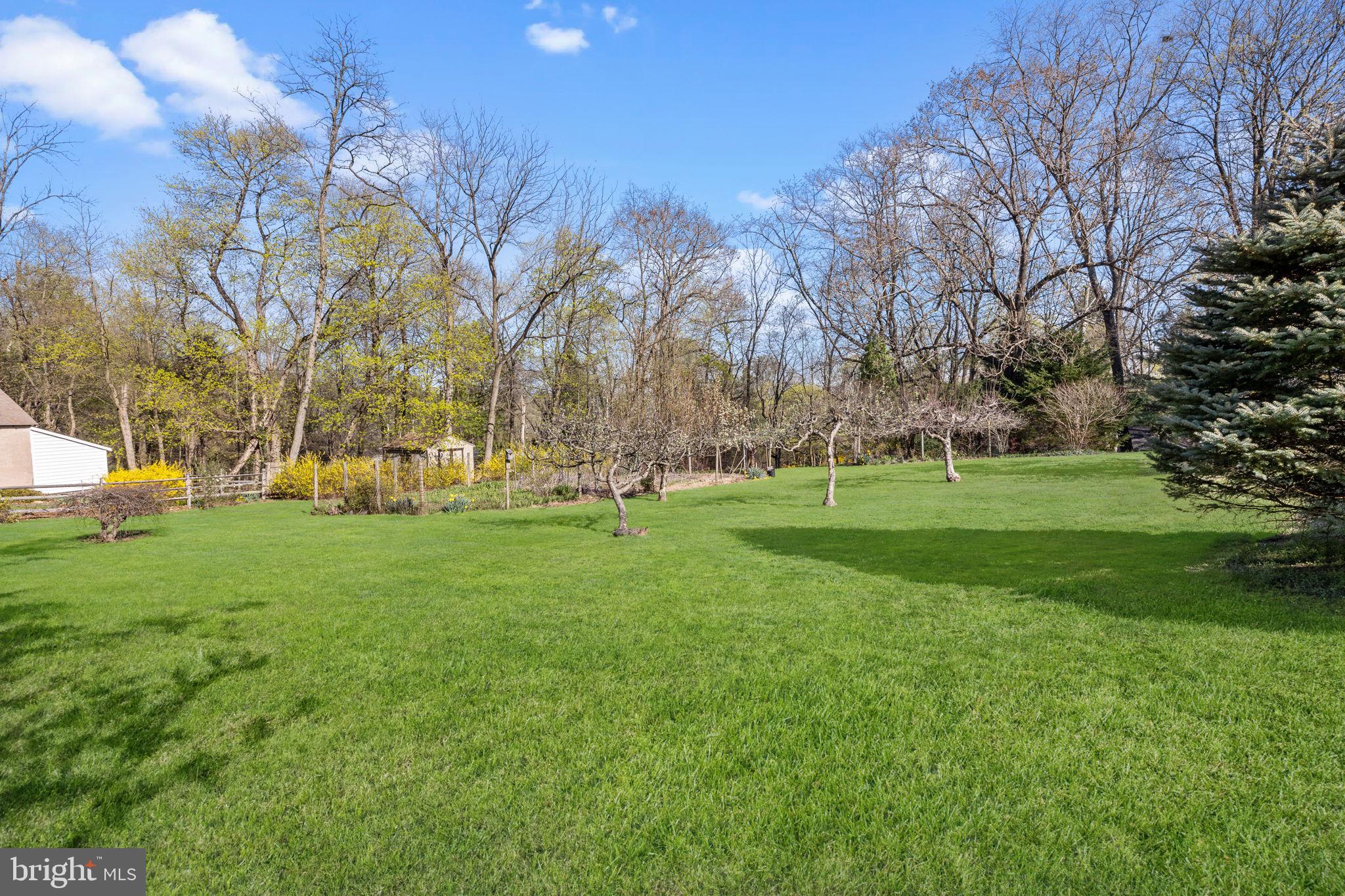6642 Upper York Road New Hope, PA 18938 - Photo 32 of 38 Back Yard