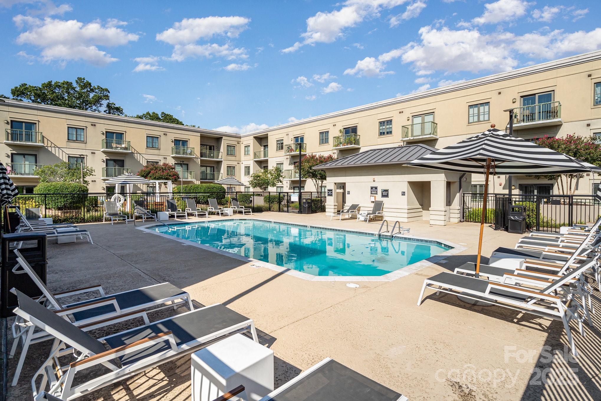 3920 Sharon Road, Unit 215 Charlotte, NC 28211 - Photo 15 of 21 Gallery Image 15