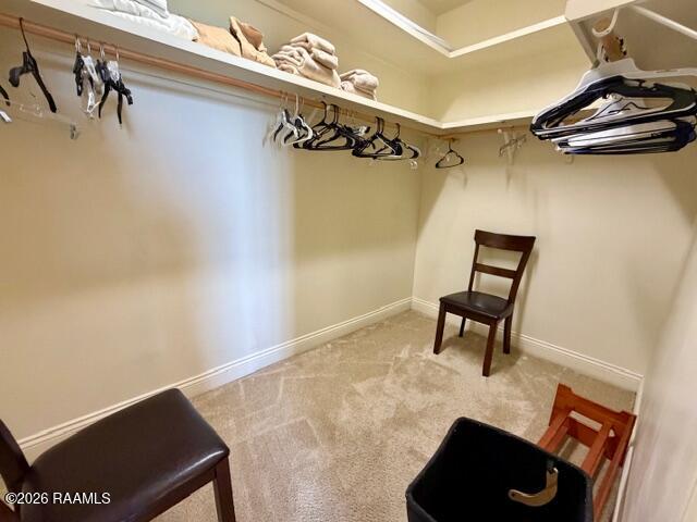 4017 Coco Miquel Road New Iberia, LA 70560 - Photo 16 of 27 Closet