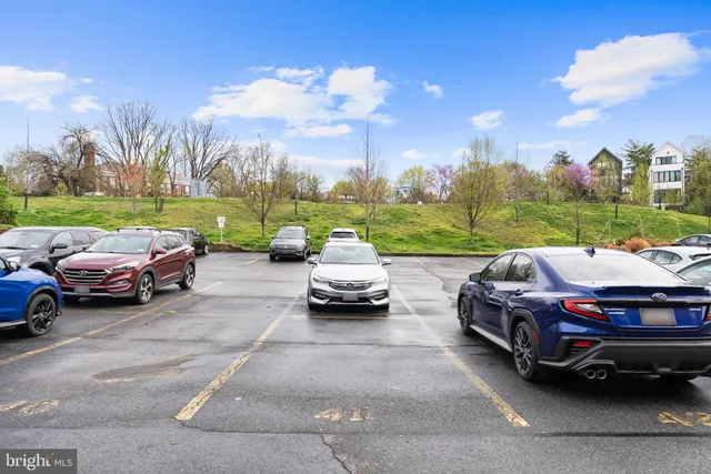 a view of a park with large trees