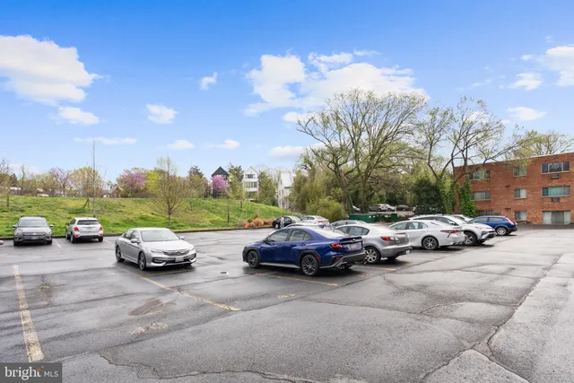 a view of a park with large trees