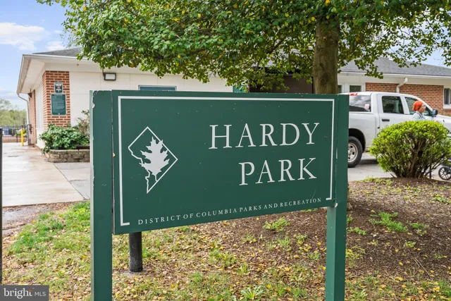 a view of a park with large trees