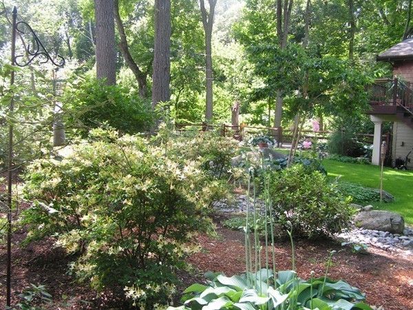 129 Howard Street Reading, MA 01867 - Photo 25 of 30 Gallery Image 25