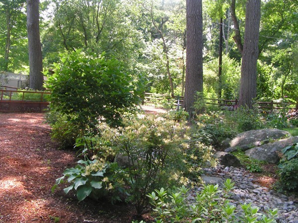 129 Howard Street Reading, MA 01867 - Photo 26 of 30 Gallery Image 26