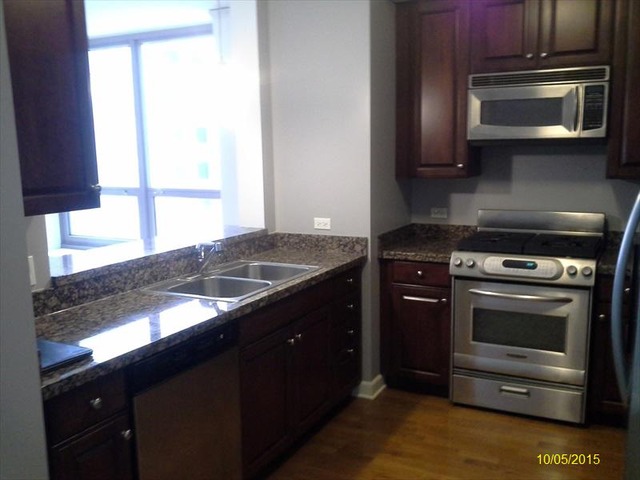 420 East Waterside Drive, Unit 503 Chicago, IL 60601 - Photo 4 of 13
