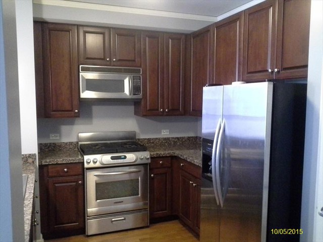 420 East Waterside Drive, Unit 503 Chicago, IL 60601 - Photo 5 of 13