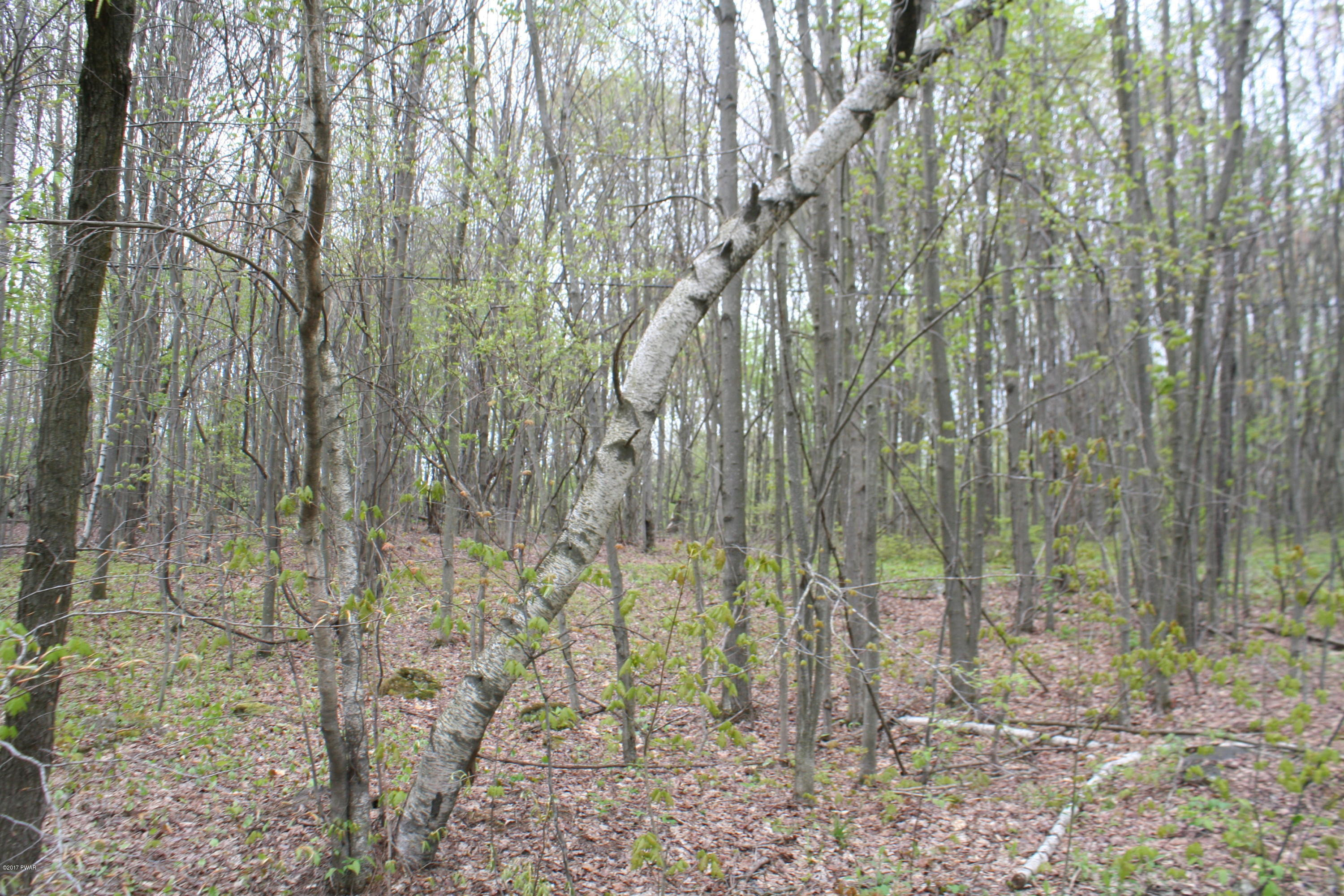 249 North Smith Road Waymart, PA 18472 - Photo 7 of 9
