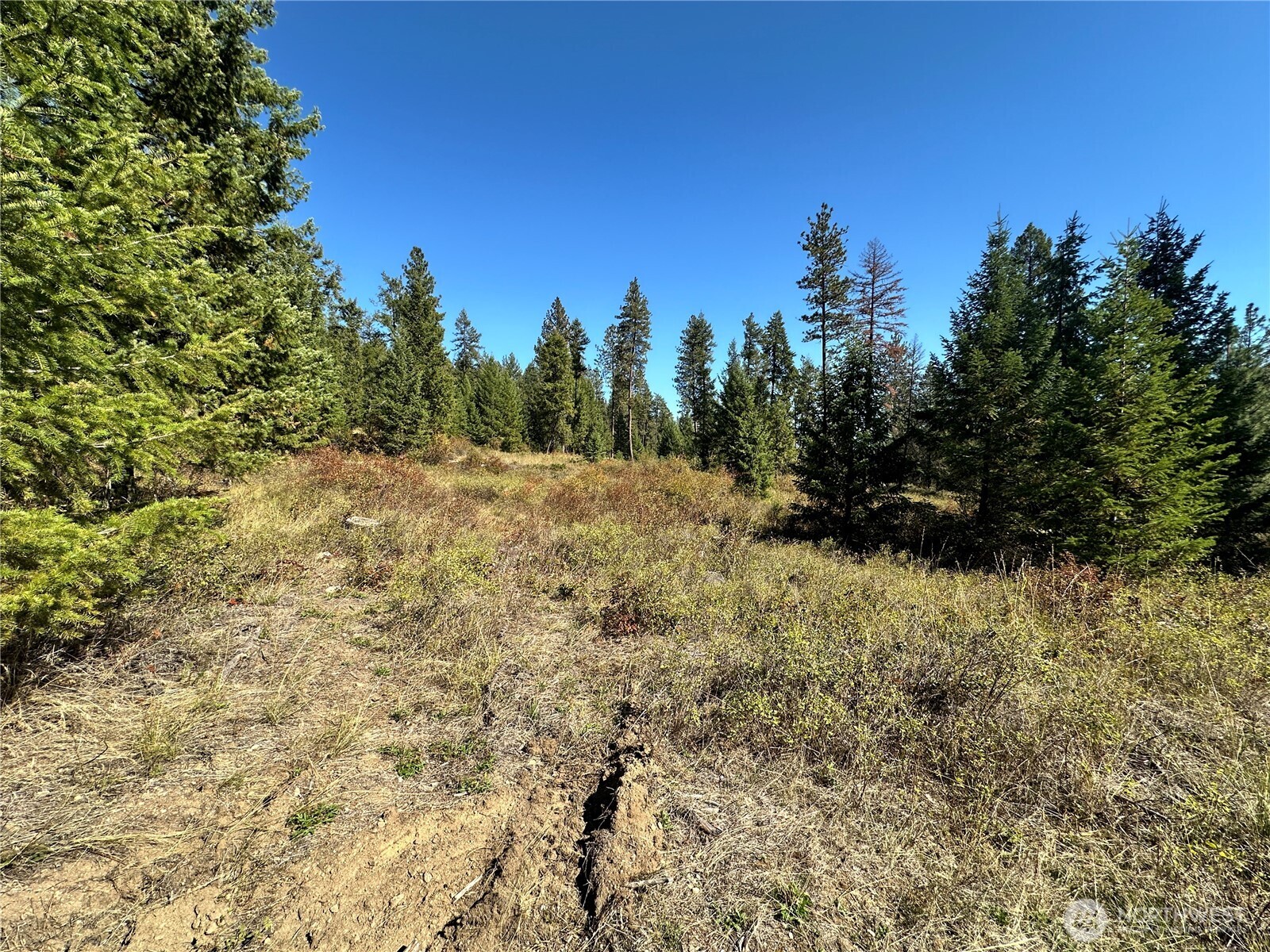 1 Deadman Creek Road Kettle Falls, WA 99141 - Photo 15 of 21 Gallery Image 15