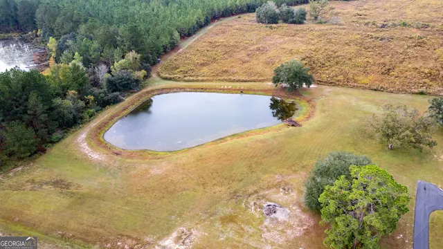 a view of a patio with table and chairs potted plants with large tree