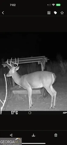 $650,000 | 1176 E Highway, Twin City, GA 30471