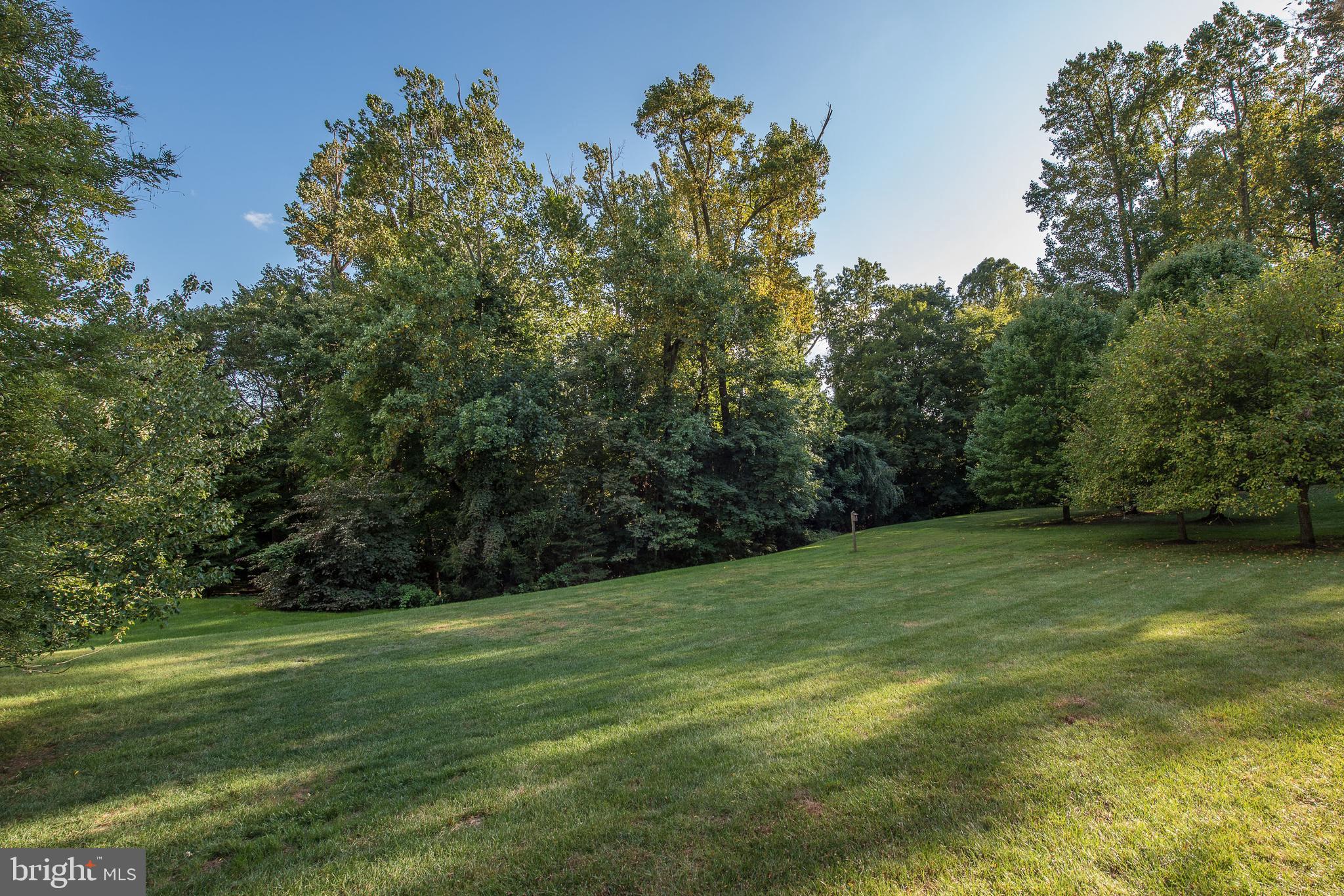 133 Brooke Farm Road Wayne, PA 19087 - Photo 43 of 45 View from the Rear