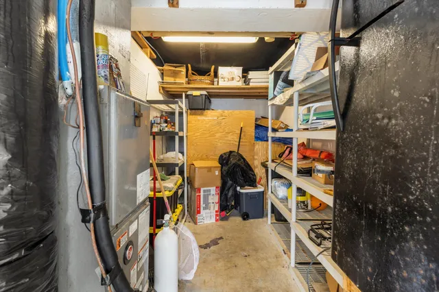 a row of palm trees and a yard with swimming pool