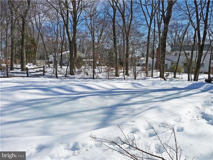 1450 Cortez Road Blue Bell, PA 19422 - Photo 25 of 25 Back Yard