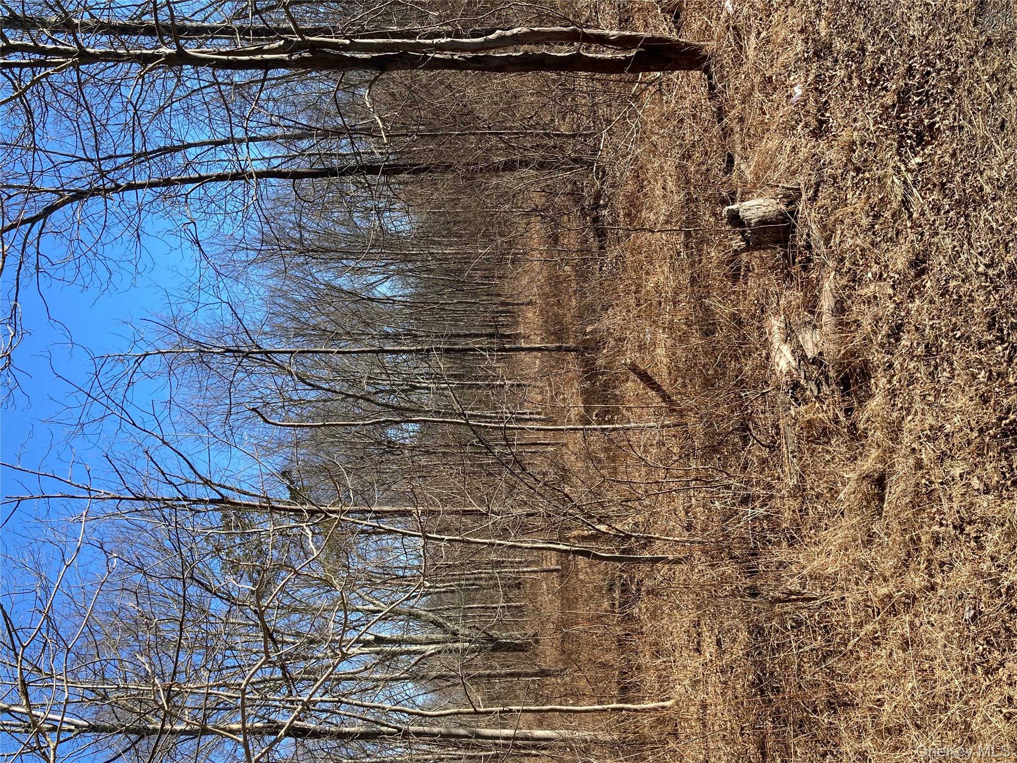 799 Albany Post Road Gardiner, NY 12561 - Photo 11 of 20 a backyard of a house with lots of green space