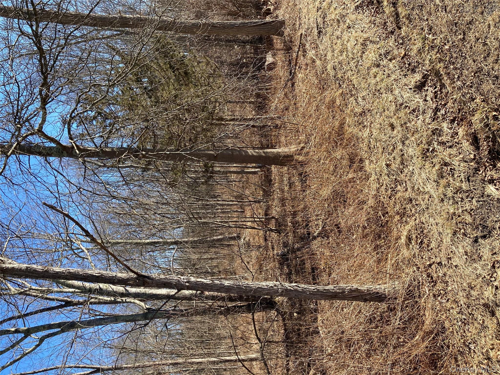 799 Albany Post Road Gardiner, NY 12561 - Photo 12 of 20