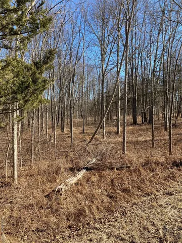a view of outdoor space with trees