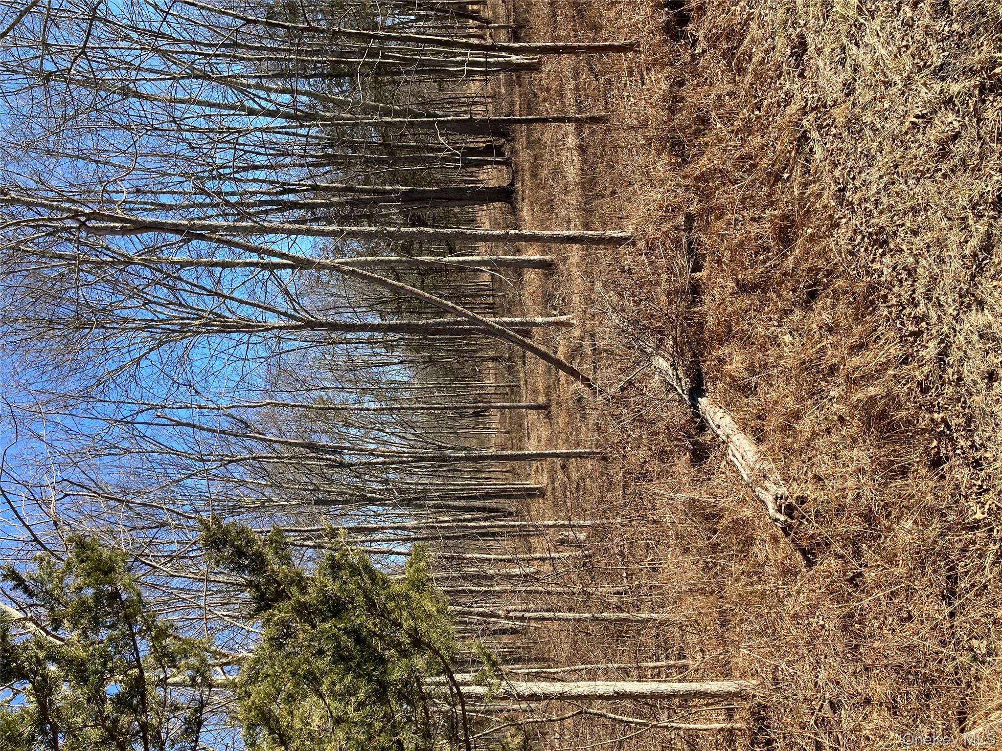 799 Albany Post Road Gardiner, NY 12561 - Photo 13 of 20 a backyard of a house with lots of green space