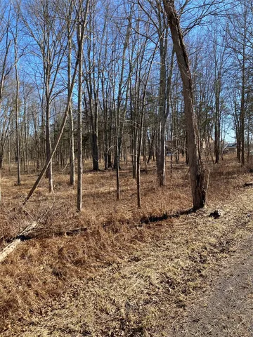 a view of outdoor space with trees