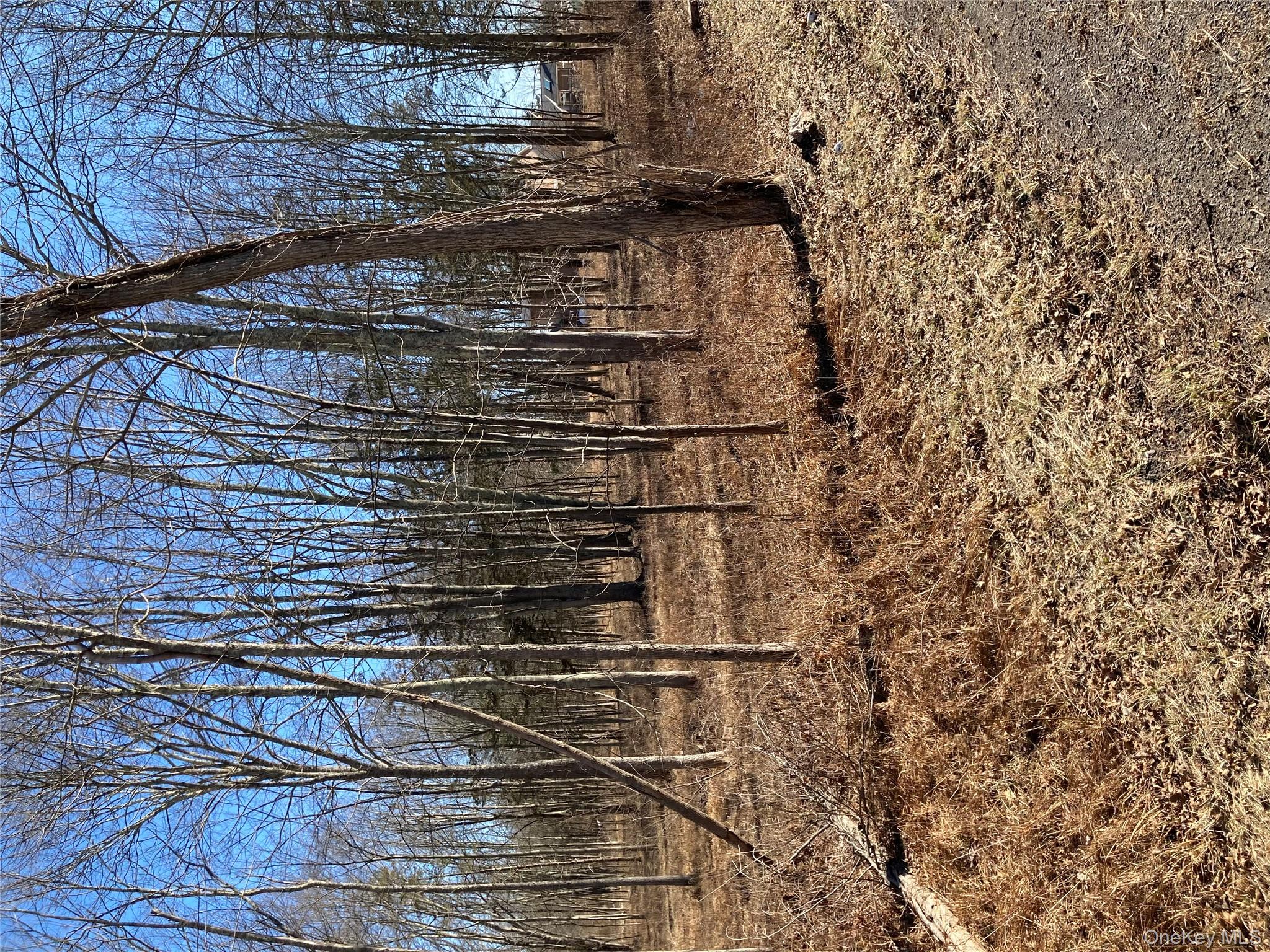 799 Albany Post Road Gardiner, NY 12561 - Photo 14 of 20 a backyard of a house with lots of green space
