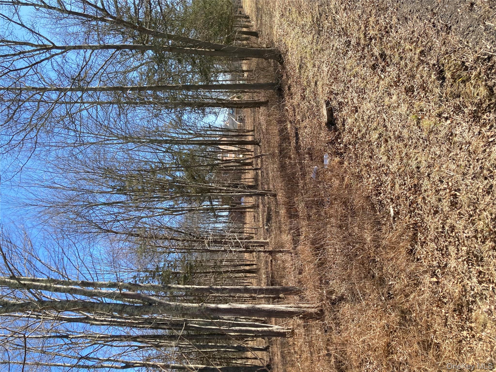 799 Albany Post Road Gardiner, NY 12561 - Photo 15 of 20 a view of outdoor space with trees